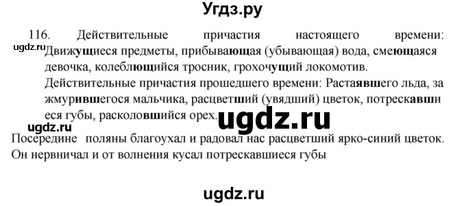 ГДЗ (Решебник к учебнику 2022) по русскому языку 7 класс М.Т. Баранов / упражнение / 116