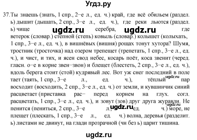 ГДЗ (Решебник к учебнику 2022) по русскому языку 7 класс М.Т. Баранов / упражнение / 37