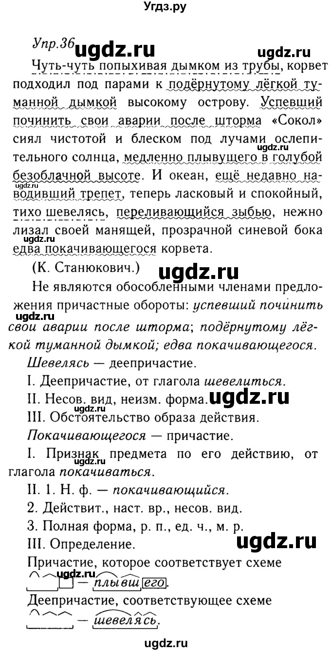 ГДЗ (решебник №2) по русскому языку 9 класс Тростенцова Л.А. / номер упражнения / 36