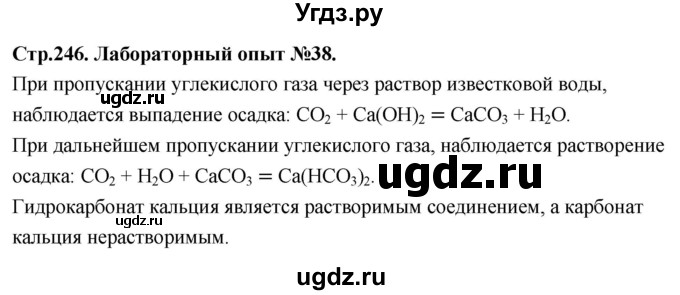 ГДЗ (Решебник 2022) по химии 9 класс О.С. Габриелян / лабораторная работа / 38
