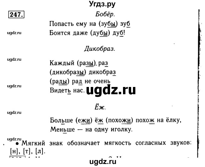 ГДЗ (Решебник №2) по русскому языку 2 класс Р.Н. Бунеев / упражнение / 247