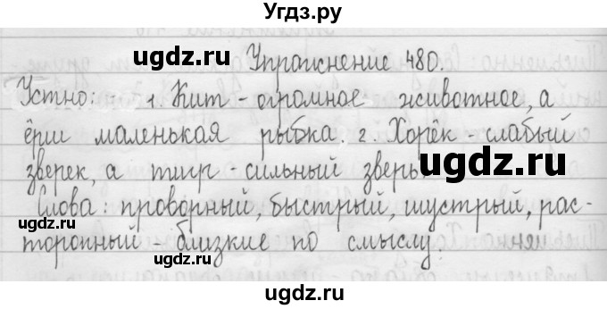 ГДЗ (Решебник) по русскому языку 3 класс Т.Г. Рамзаева / упражнение номер / 480