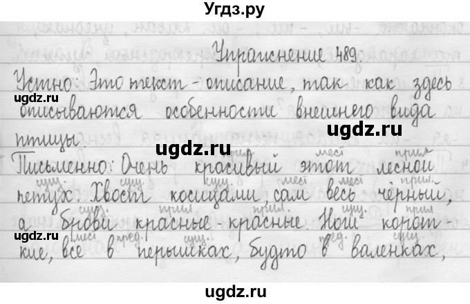 ГДЗ (Решебник) по русскому языку 3 класс Т.Г. Рамзаева / упражнение номер / 489