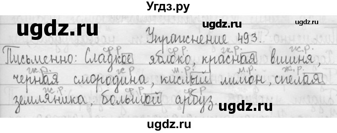 ГДЗ (Решебник) по русскому языку 3 класс Т.Г. Рамзаева / упражнение номер / 493