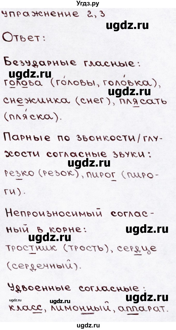 ГДЗ (Решебник №3) по русскому языку 3 класс В.П. Канакина / часть 1 / наши проекты / стр. 142 / 3