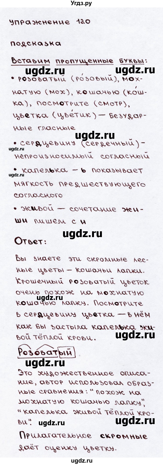 ГДЗ (Решебник №3) по русскому языку 3 класс В.П. Канакина / часть 2 / упражнение / 120