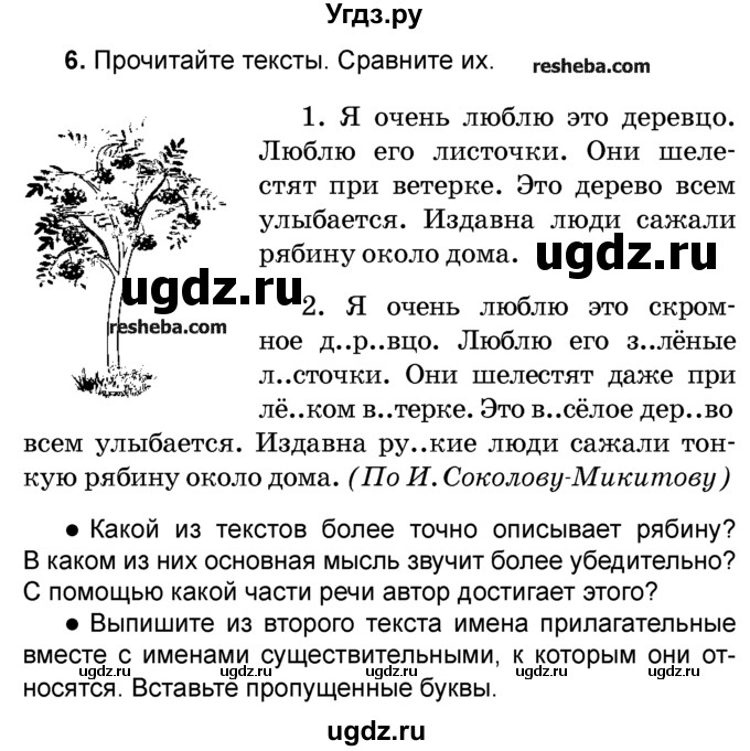 Зацветет рябина кончится весна а когда рябина покраснеет кончится лето схема