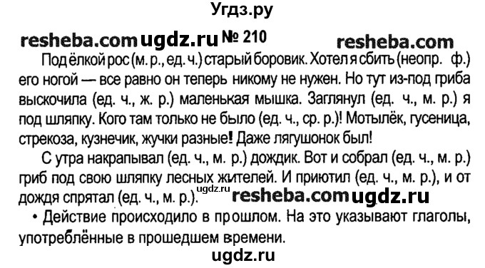 ГДЗ (решебник №1) по русскому языку 4 класс Е.С. Грабчикова / часть 2 / 210