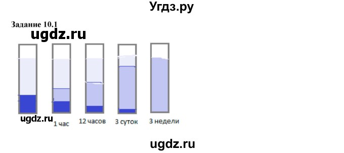 ГДЗ (Решебник к тетради 2023) по физике 7 класс (рабочая тетрадь) Ханнанова Т.А. / §10 / 10.1