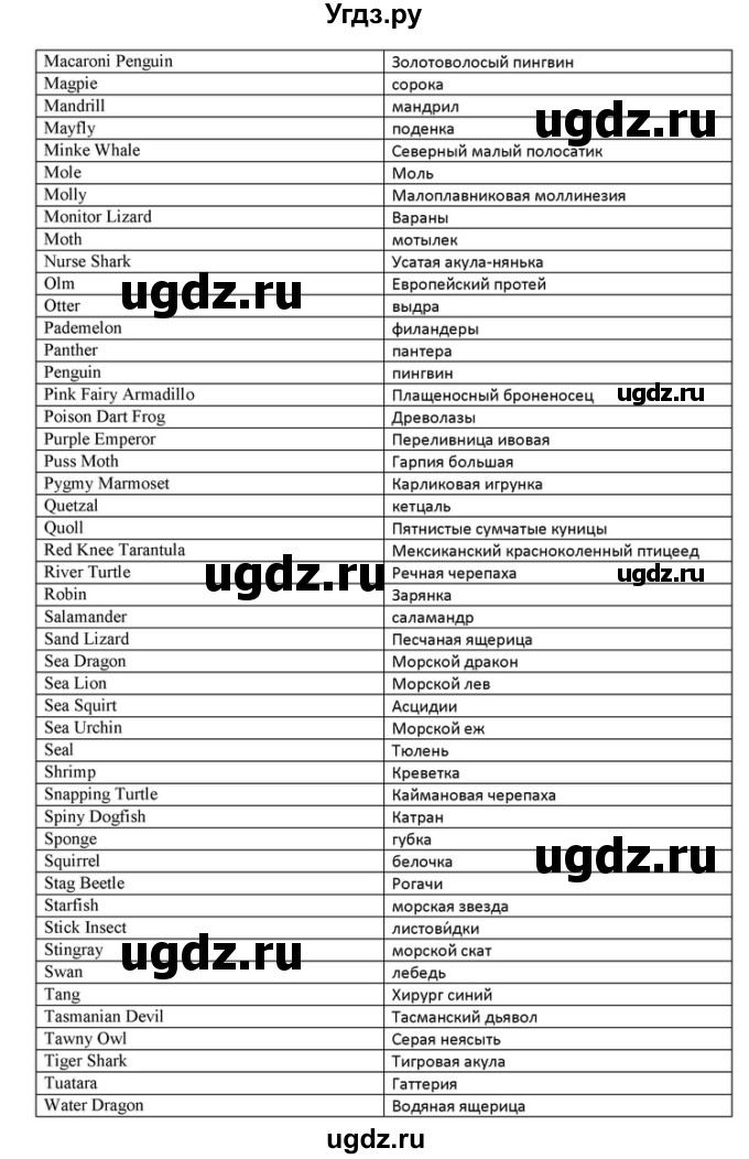 ГДЗ (Решебник) по английскому языку 10 класс (Радужный английский) Афанасьева О.В. / страница-№ / 128(продолжение 14)