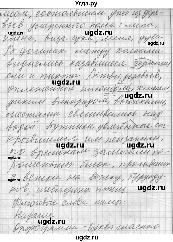 ГДЗ (Решебник) по русскому языку 7 класс Бунеев Р.Н. / упражнение / 185(продолжение 2)