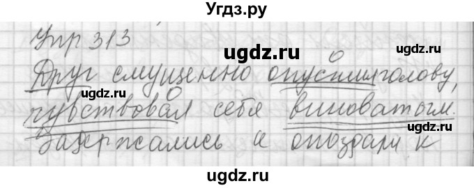 ГДЗ (Решебник) по русскому языку 7 класс Бунеев Р.Н. / упражнение / 313