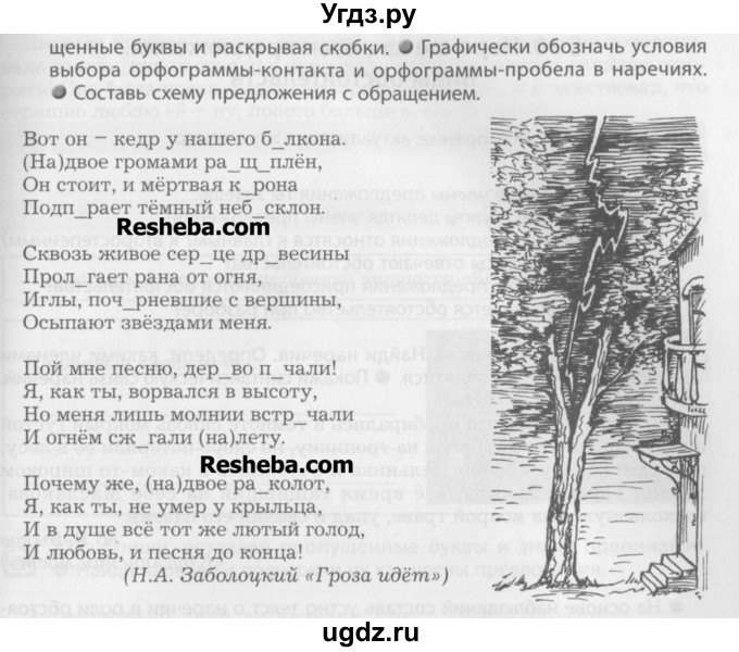 ГДЗ (Учебник) по русскому языку 7 класс Бунеев Р.Н. / упражнение / 233(продолжение 2)