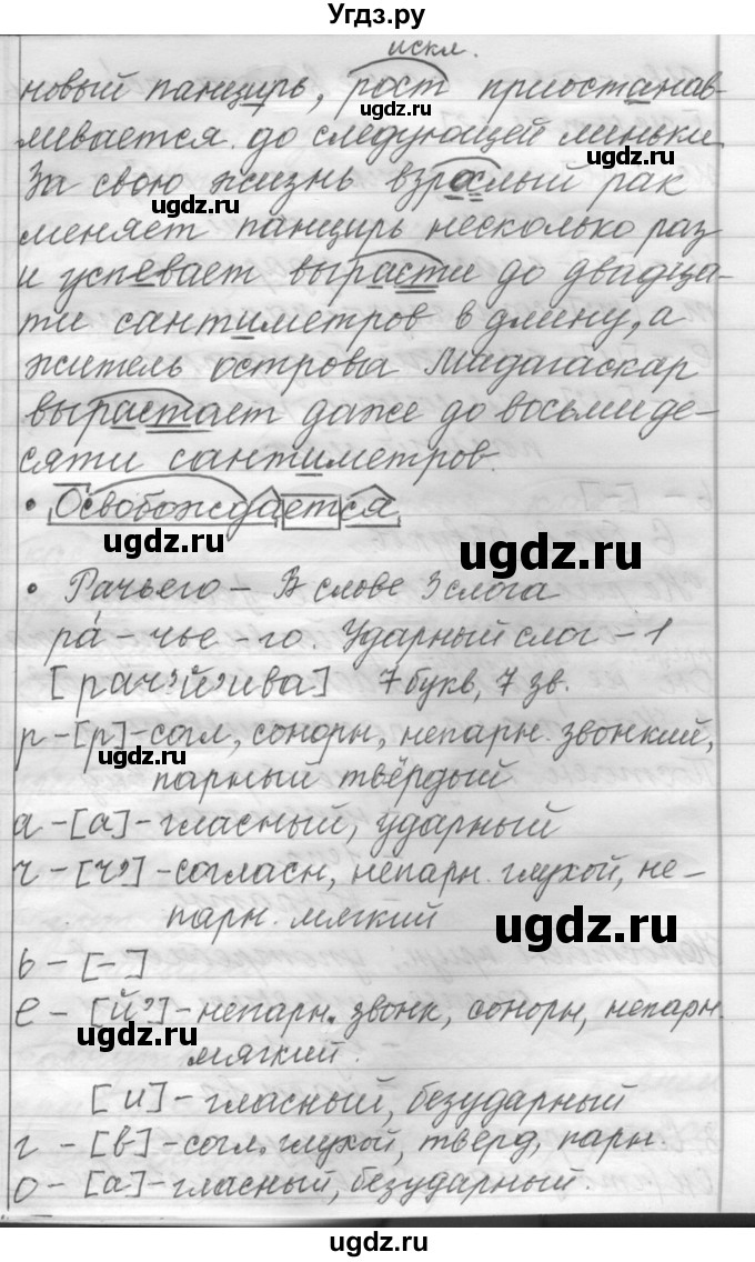 ГДЗ (Решебник) по русскому языку 6 класс Шмелев А.Д. / глава 2 / 80(продолжение 2)