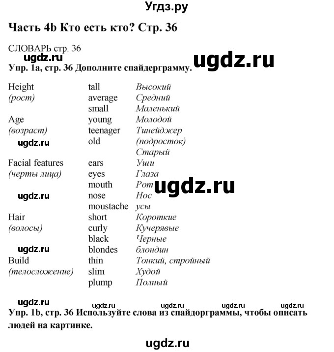 ГДЗ (Решебник) по английскому языку 5 класс (рабочая тетрадь Spotlight) Ю.Е. Ваулина / страница номер / 36