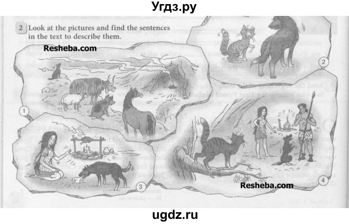 ГДЗ (Учебник) по английскому языку 6 класс (рабочая тетрадь 1) М.З. Биболетова / unit 3 / section 8 / 2