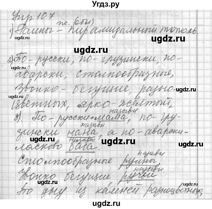 ГДЗ (Решебник) по русскому языку 8 класс Шмелев А.Д. / глава 2 номер / 107