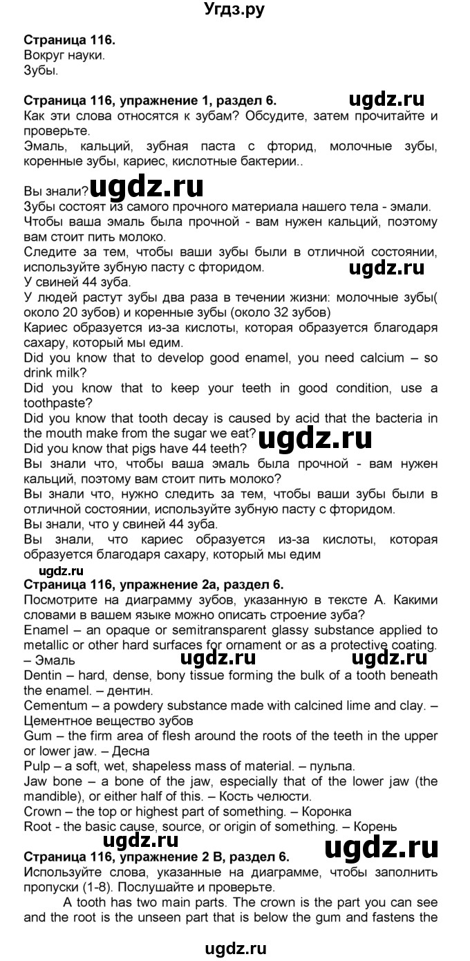 ГДЗ (Решебник) по английскому языку 10 класс (Spotlight) О. В. Афанасьева / страница / 116