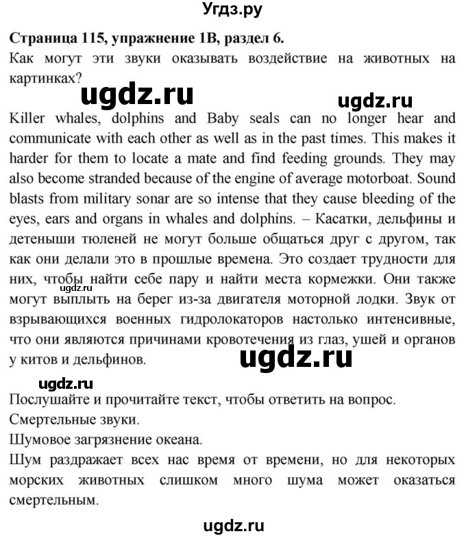 ГДЗ (Решебник) по английскому языку 11 класс (Spotlight) Афанасьева О.В. / страница / 115(продолжение 2)