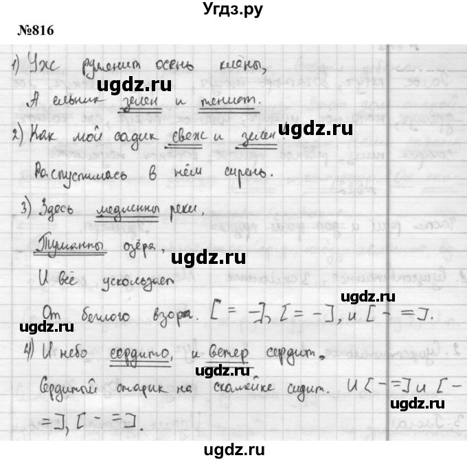 ГДЗ (Решебник к учебнику 2020 (8-е изд.)) по русскому языку 5 класс М.М. Разумовская / упражнение / 816