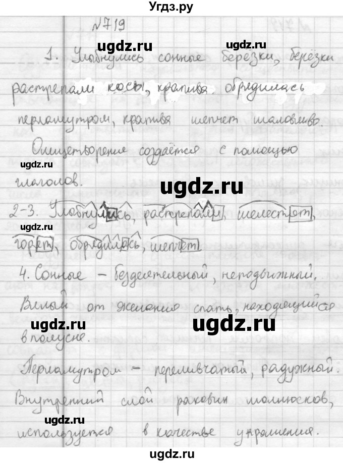 ГДЗ (Решебник к учебнику 2015) по русскому языку 5 класс М.М. Разумовская / упражнение / 719(продолжение 2)