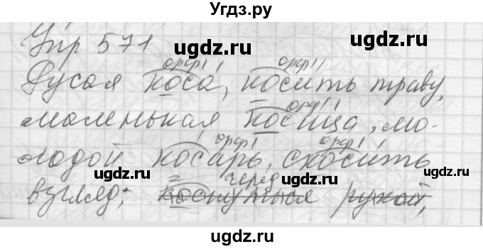 ГДЗ (Решебник к учебнику 2016) по русскому языку 5 класс А.Ю. Купалова / упражнение / 571