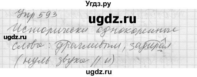 ГДЗ (Решебник к учебнику 2016) по русскому языку 5 класс А.Ю. Купалова / упражнение / 593