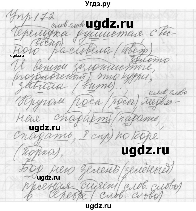 ГДЗ (Решебник к учебнику 2022) по русскому языку 5 класс А.Ю. Купалова / упражнение / 172