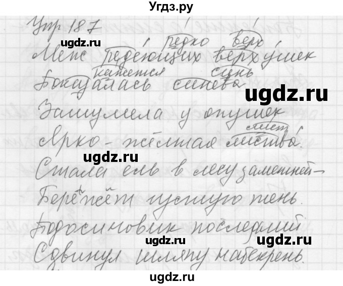 ГДЗ (Решебник к учебнику 2022) по русскому языку 5 класс А.Ю. Купалова / упражнение / 187