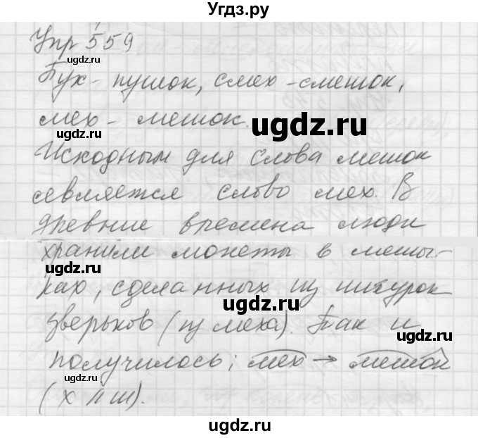 ГДЗ (Решебник к учебнику 2022) по русскому языку 5 класс А.Ю. Купалова / упражнение / 559