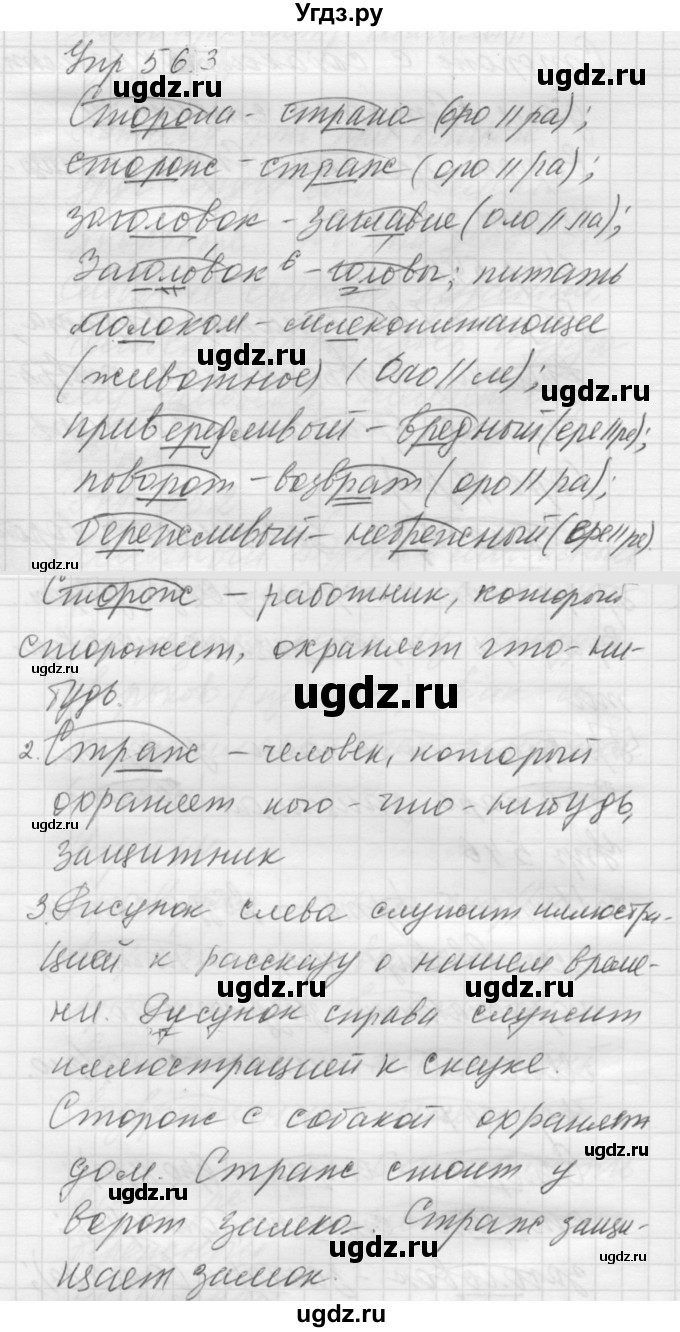 ГДЗ (Решебник к учебнику 2022) по русскому языку 5 класс А.Ю. Купалова / упражнение / 563