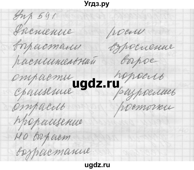 ГДЗ (Решебник к учебнику 2022) по русскому языку 5 класс А.Ю. Купалова / упражнение / 591