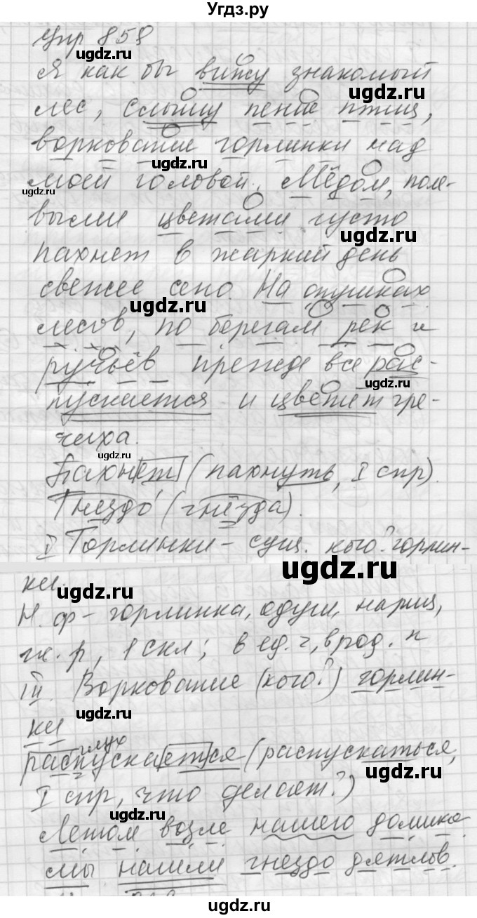 ГДЗ (Решебник к учебнику 2022) по русскому языку 5 класс А.Ю. Купалова / упражнение / 858