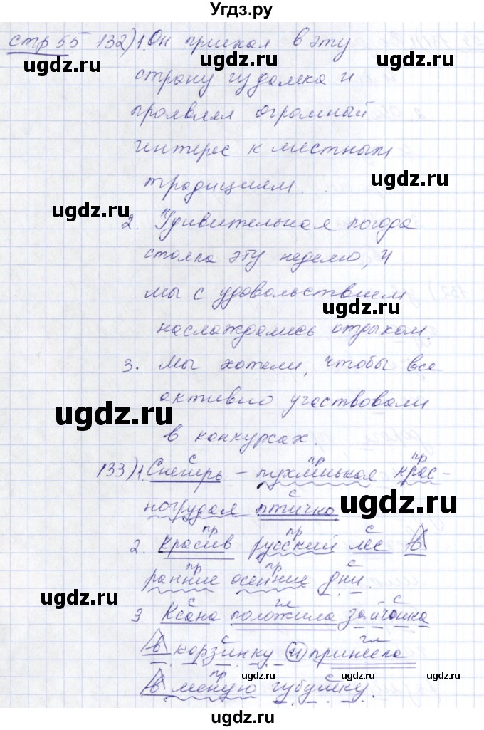 ГДЗ (Решебник) по русскому языку 5 класс (рабочая тетрадь) Богданова Г.А. / часть 1 (страница) / 55