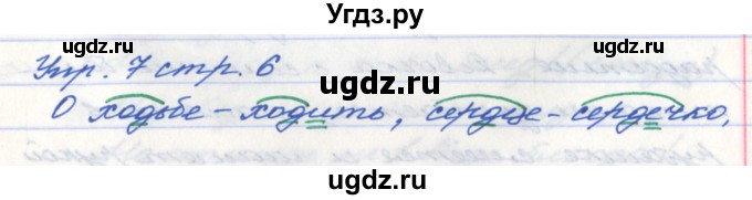 ГДЗ (Решебник №1) по русскому языку 5 класс (рабочая тетрадь) Ефремова Е.А. / упражнение номер / 7