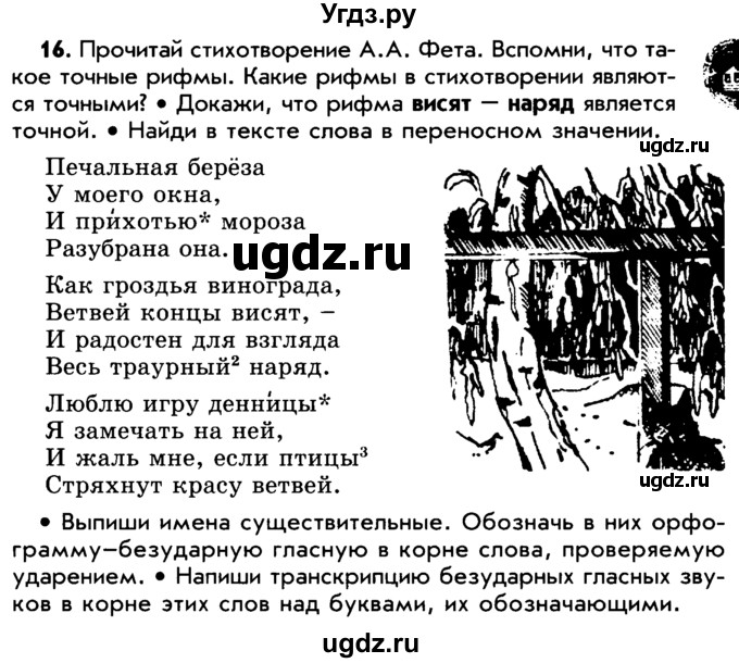 ГДЗ (Учебник) по русскому языку 5 класс Р.Н. Бунеев / упражнение № / 16