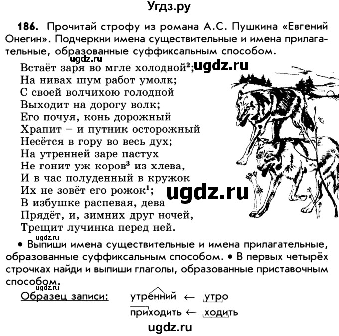 ГДЗ (Учебник) по русскому языку 5 класс Р.Н. Бунеев / упражнение № / 186