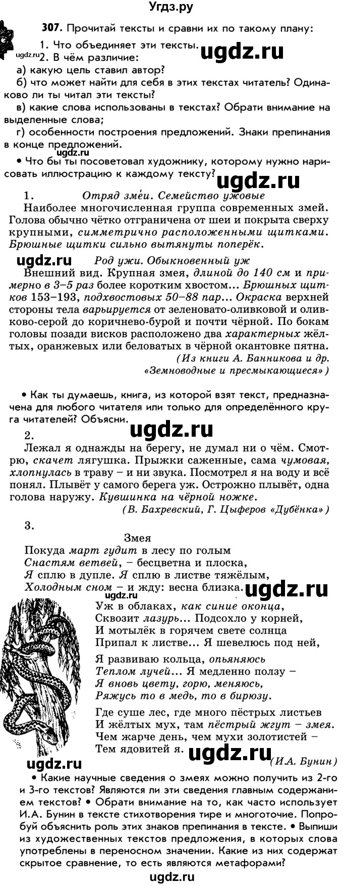 ГДЗ (Учебник) по русскому языку 5 класс Р.Н. Бунеев / упражнение № / 307