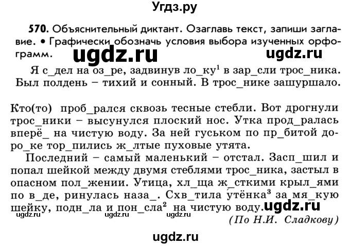 ГДЗ (Учебник) по русскому языку 5 класс Р.Н. Бунеев / упражнение № / 570