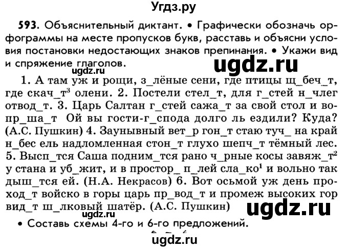 ГДЗ (Учебник) по русскому языку 5 класс Р.Н. Бунеев / упражнение № / 593