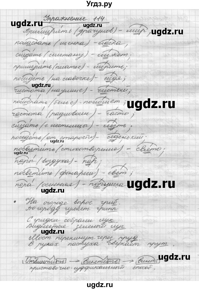 ГДЗ (Решебник) по русскому языку 5 класс Р.Н. Бунеев / упражнение № / 114