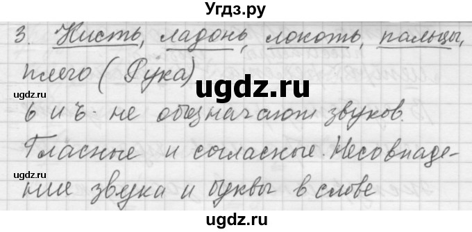 ГДЗ (Решебник) по русскому языку 5 класс (Для обучающихся с интеллектуальными нарушениями) Э. В. Якубовская / упражнение № / 3(продолжение 2)