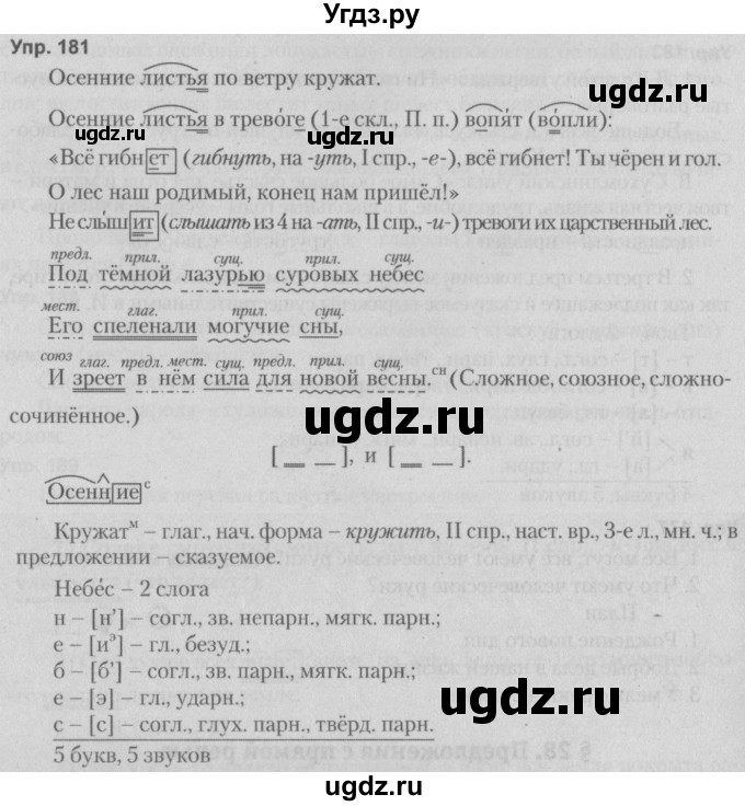 ГДЗ (Решебник №2 к учебнику 2014) по русскому языку 5 класс Л.А. Мурина / часть 1 / упражнение / 181