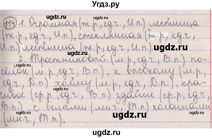 ГДЗ (Решебник №1 к учебнику 2014) по русскому языку 5 класс Л.А. Мурина / часть 1 / упражнение / 114