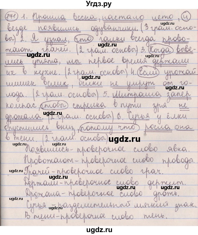 ГДЗ (Решебник №1 к учебнику 2014) по русскому языку 5 класс Л.А. Мурина / часть 1 / упражнение / 171