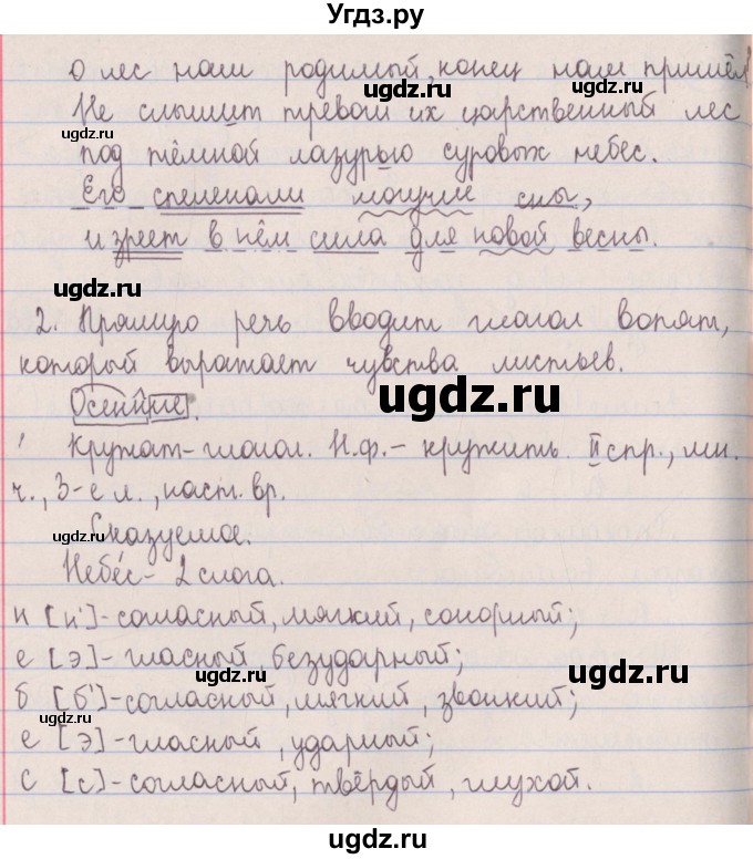 ГДЗ (Решебник №1 к учебнику 2014) по русскому языку 5 класс Л.А. Мурина / часть 1 / упражнение / 181(продолжение 2)