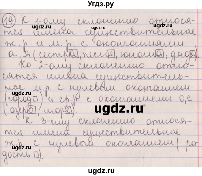 ГДЗ (Решебник №1 к учебнику 2014) по русскому языку 5 класс Л.А. Мурина / часть 1 / упражнение / 19