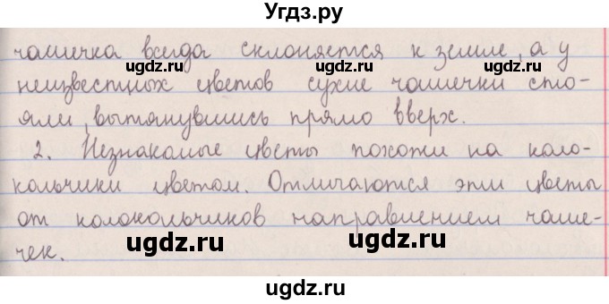 ГДЗ (Решебник №1 к учебнику 2014) по русскому языку 5 класс Л.А. Мурина / часть 1 / упражнение / 204(продолжение 2)