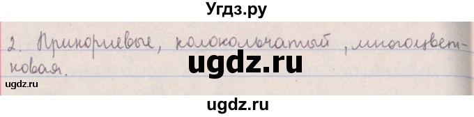 ГДЗ (Решебник №1 к учебнику 2014) по русскому языку 5 класс Л.А. Мурина / часть 1 / упражнение / 206(продолжение 2)