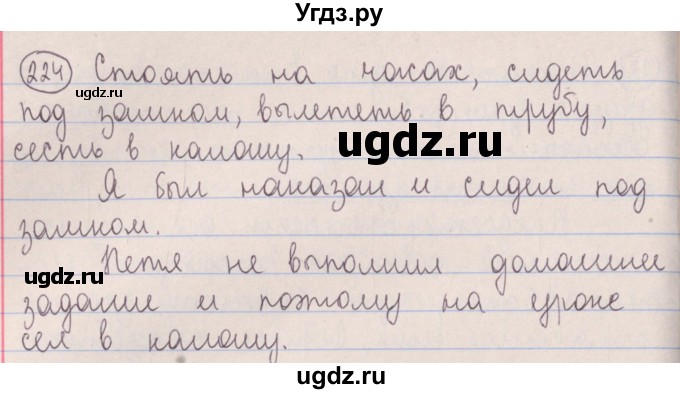 ГДЗ (Решебник №1 к учебнику 2014) по русскому языку 5 класс Л.А. Мурина / часть 2 / упражнение / 224